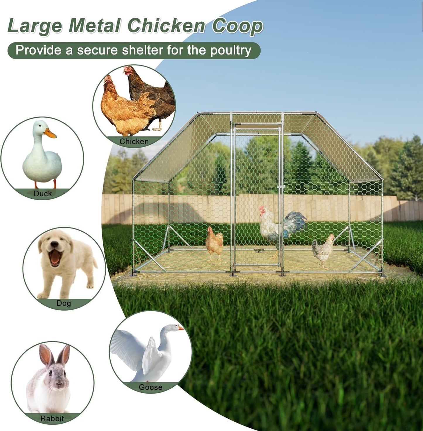 Galvanized Large Metal Chicken Coop - Walk-in Poultry Cage with Waterproof & Anti-UV Cover, Lockable Door for Chickens, Ducks, Rabbits (10'x6.6'x6.56')